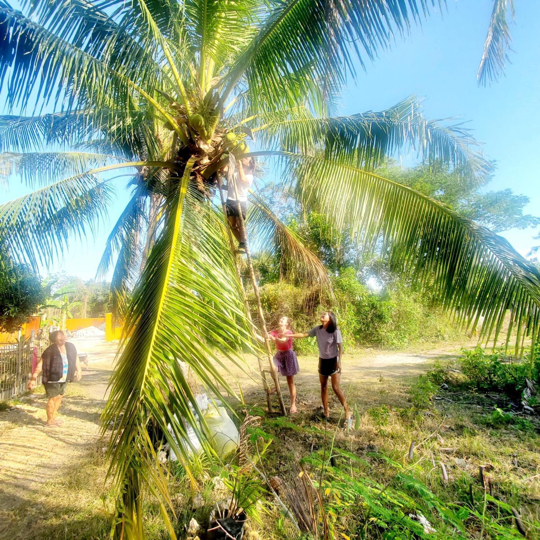 Lagkaw Uno In Lagkaw Homestay Panglao Kültér fotó