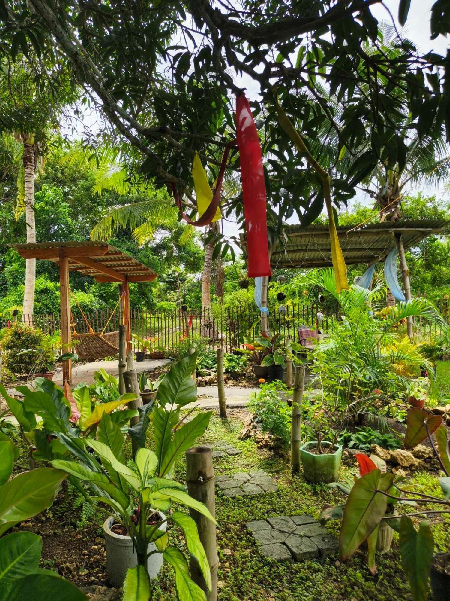 Lagkaw Uno In Lagkaw Homestay Panglao Kültér fotó