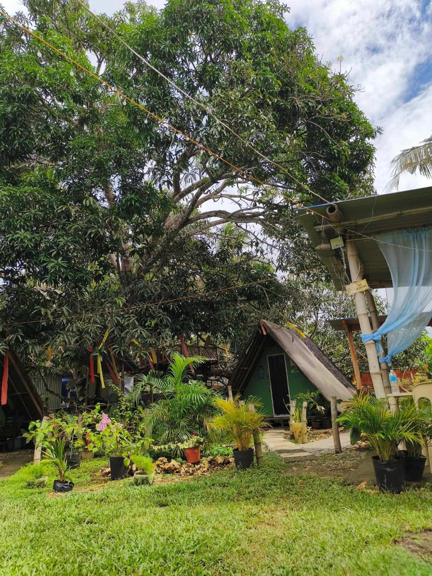Lagkaw Uno In Lagkaw Homestay Panglao Kültér fotó